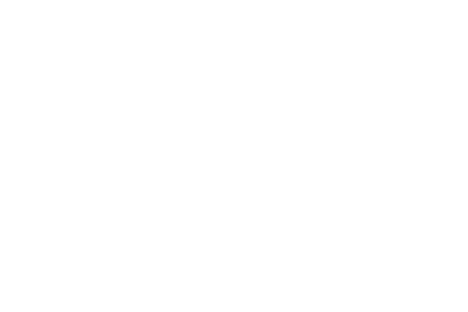 VINCUSUITE Synergy